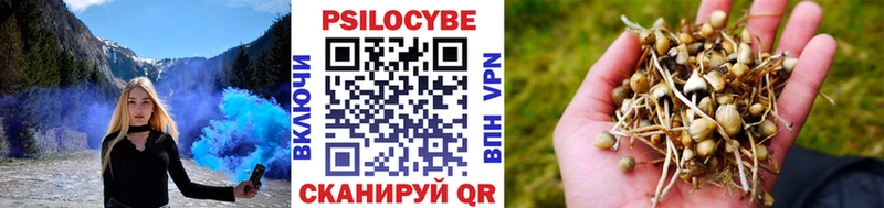 Псилоцибиновые грибы Psilocybine cubensis купить закладку гидра ССЫЛКА Алексин